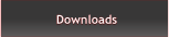 Downloads Downloads